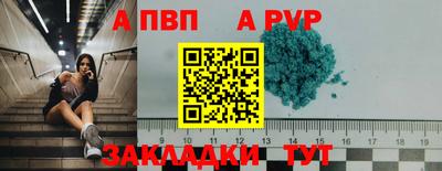 СК Тверь