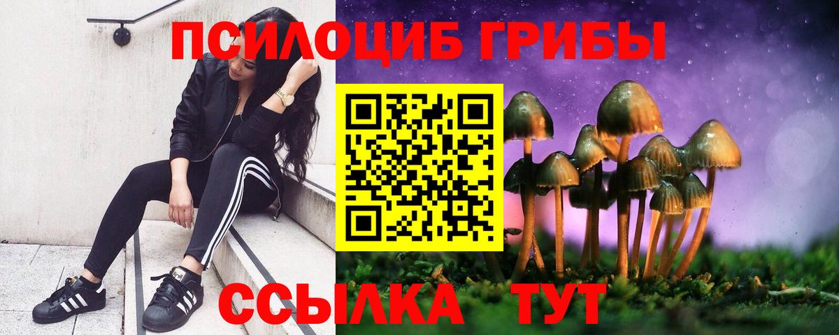 Галлюциногенные грибы мухоморы Гагарин
