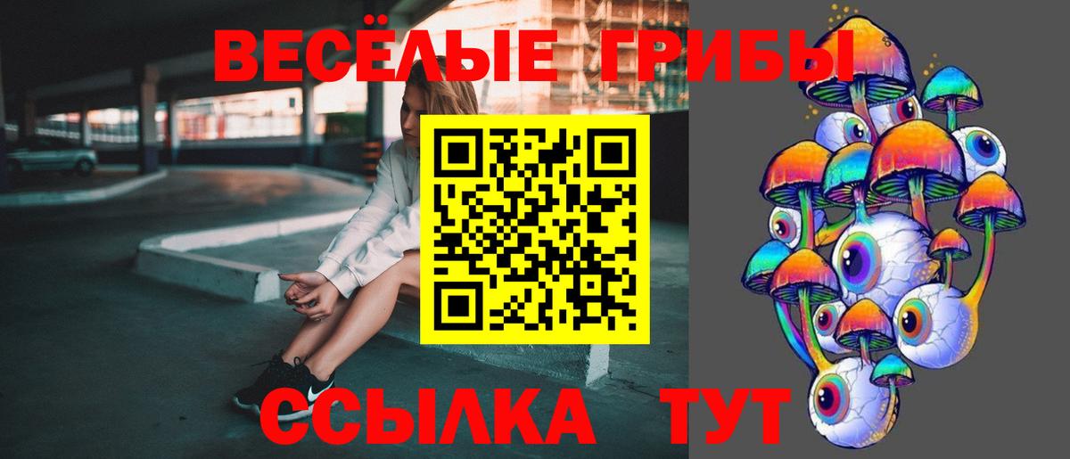 Галлюциногенные грибы GOLDEN TEACHER  Вход с VPN  Галлюциногенные грибы Magic Shrooms  Гагарин 